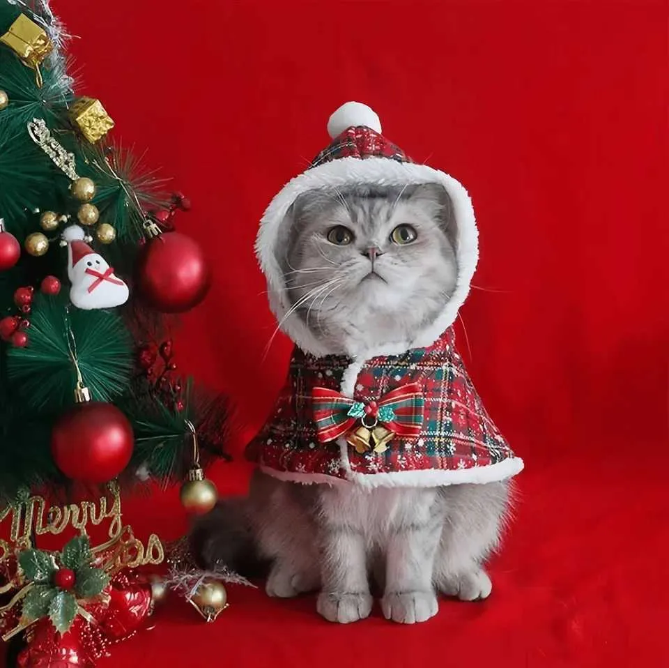 Cozy cat hoodie online