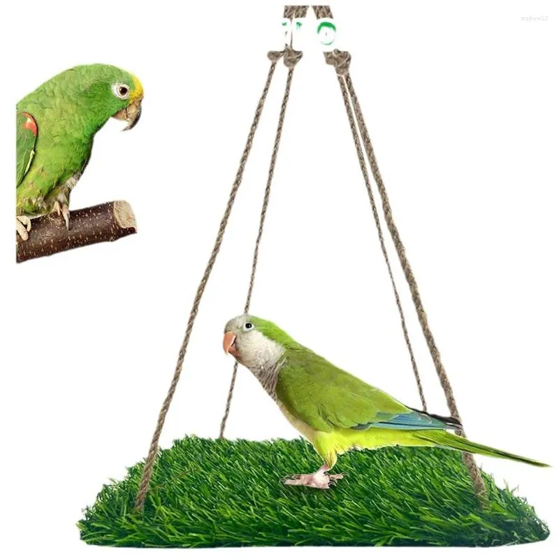 Parakeet foraging toys clearance
