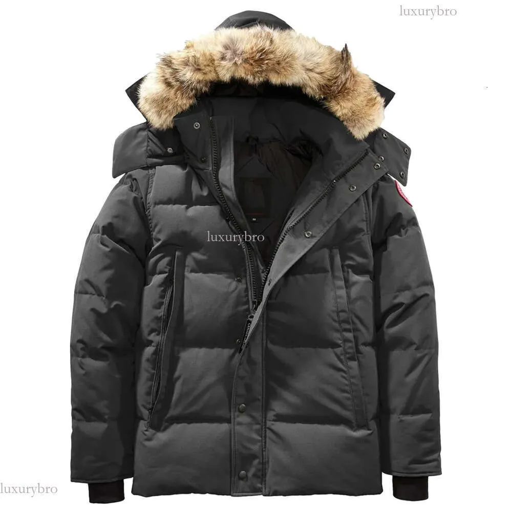 Mens Canadian Wyndham Eddie Bauer Down Parka With Real Wolf Fur High Quality Winter Outerwear Parka In Fashionable Style Size XS 2XL From Luxurybro 91.38 DHgate.Com