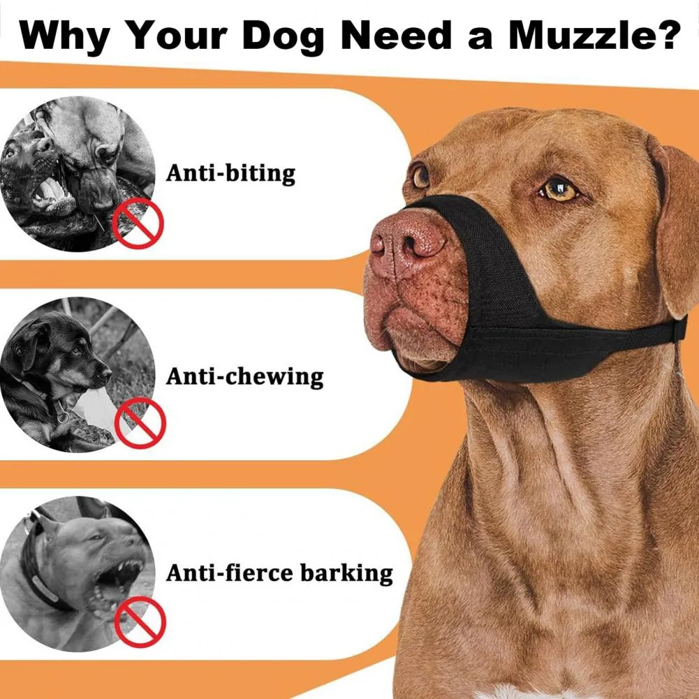Nylon muzzle online