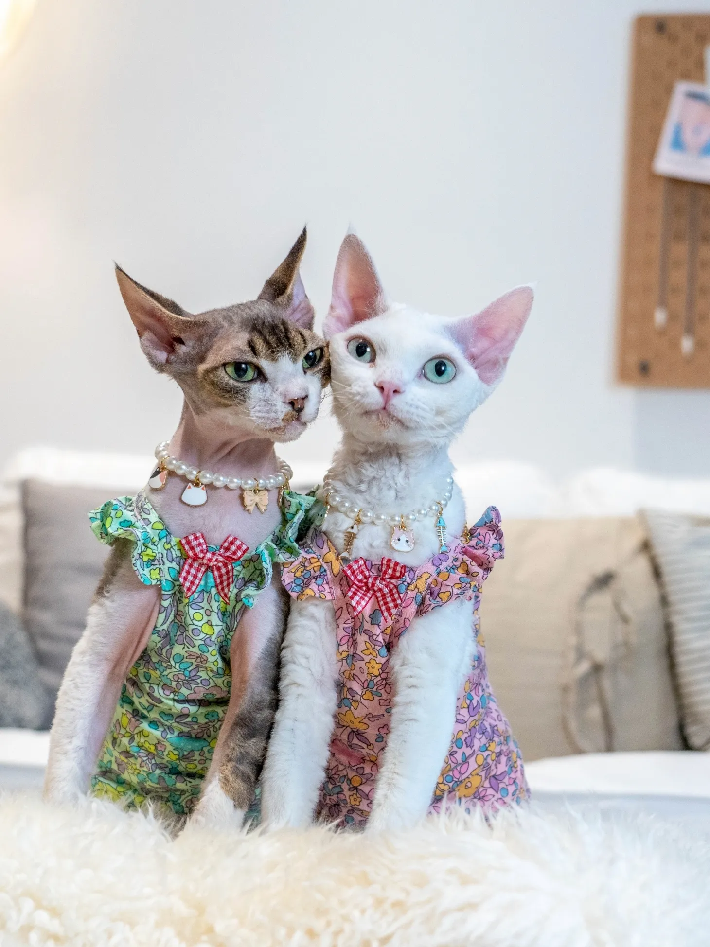 thumbnail image 2 of Hairless Cat Costume Breathable Summer Suspender Skirt Elegant Romantic Girly Cat Dress, Cotton Cute Dress, Soft Princess Dress For Sphynx, Cornish 2 of 13