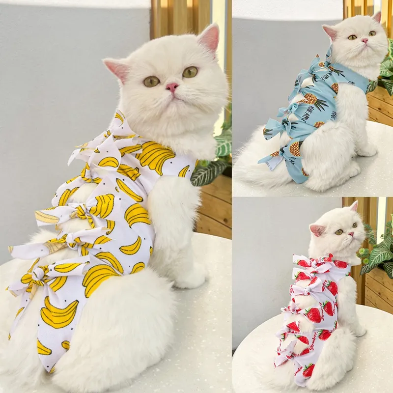 Cat Onesies: Soft Recovery Suit For Cats And Kittens, Breathable