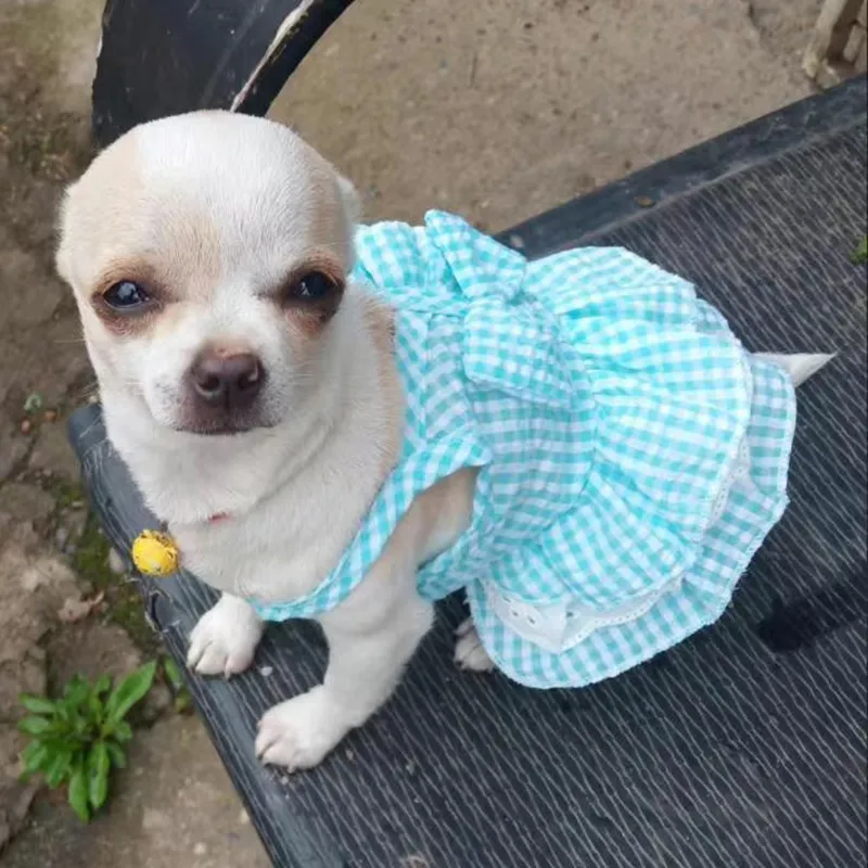 Animal Vestidos De Perritas Chihuahua Dress Vestidos Para Perritas