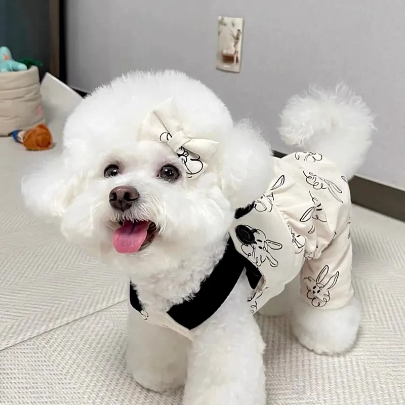 Small dog pants new arrivals