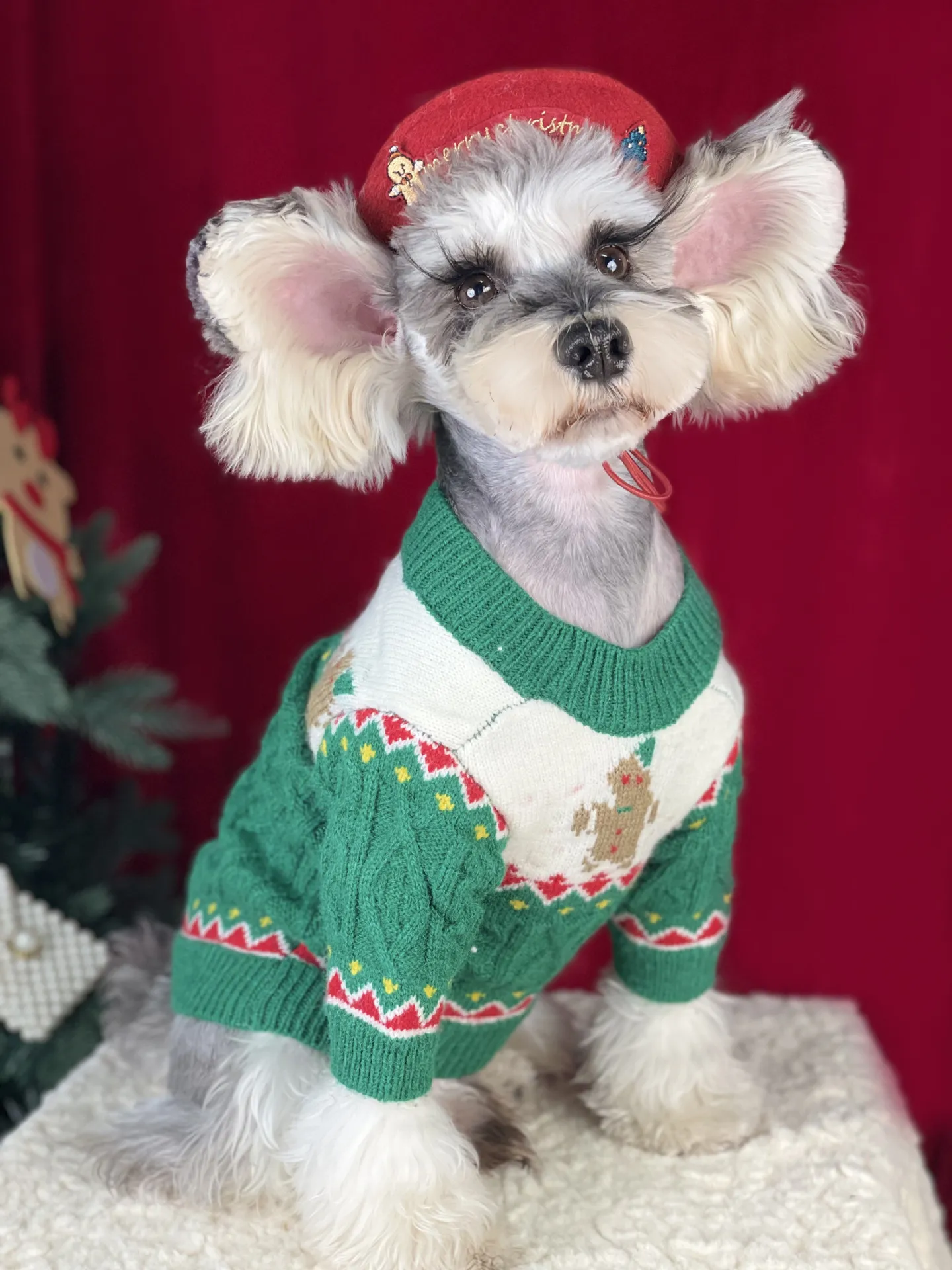 Cozy Red Christmas Macys Christmas Sweaters For Schnauzer And Teddy Bears Perfect For Autumn Winter From Dh911049194 19.69 DHgate.Com
