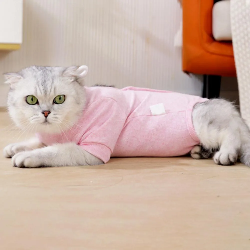 Cat Recovery Suit Female Professional Cloth For Abdominal Wounds Cat Onesie For Cats After Surgery Post Surgery Suit,Cats Cone Alternative For Kitten(C SHF01 Orange M