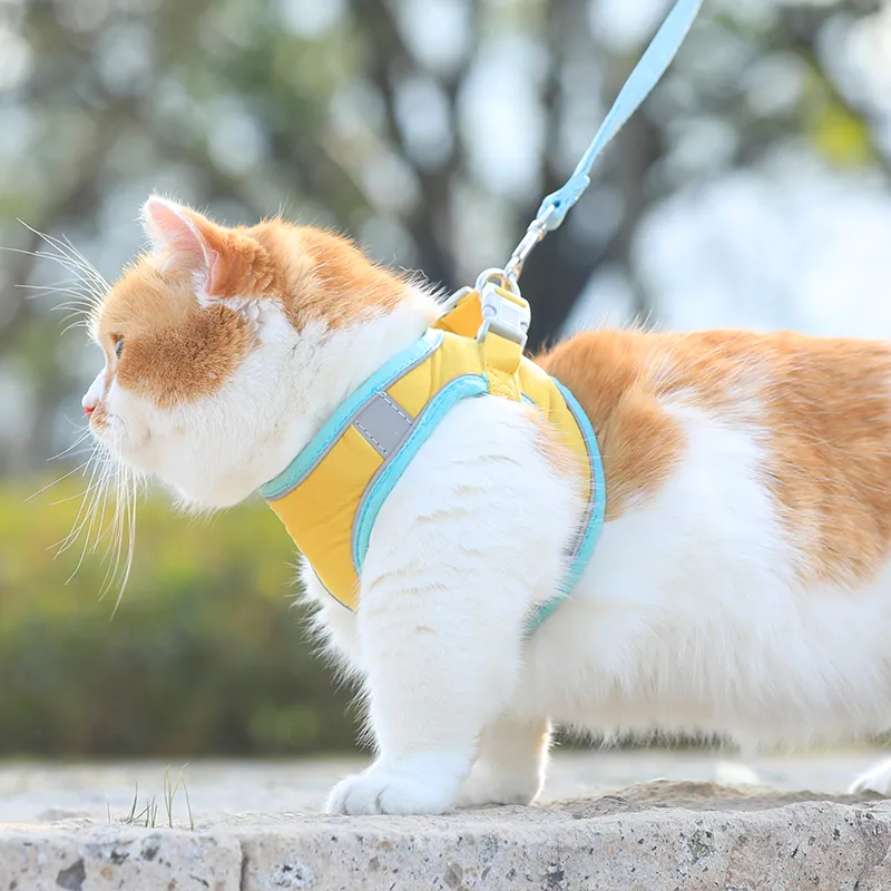 Cat safety vest hot sale
