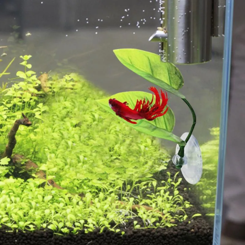 Beta Leaf Betta Fish Resting Leaf Hammock for Aquarium Decorations and Betta Tank Accessories from Dhgate Other Decorations - price 2.91 Beta Leaf Betta Fish Resting Leaf Hammock for Aquarium Decorations and Betta Tank Accessories from Dhgate Other Decorations - price 2.91