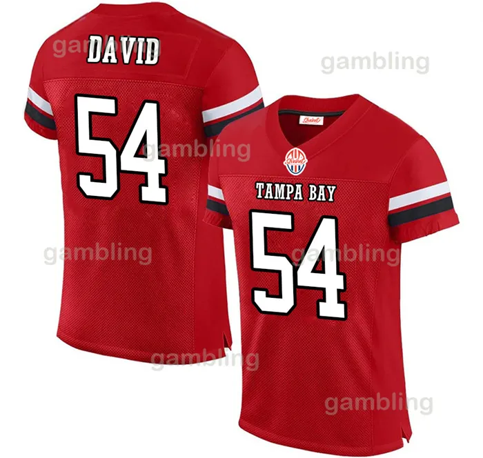 Custom Football Stitched Jerseys Mens Youth American Football Jerseys 6 Baker 13 Mike 12 Tom 25 LeSean Personalized From Gambling 9.3 DHgate.Com