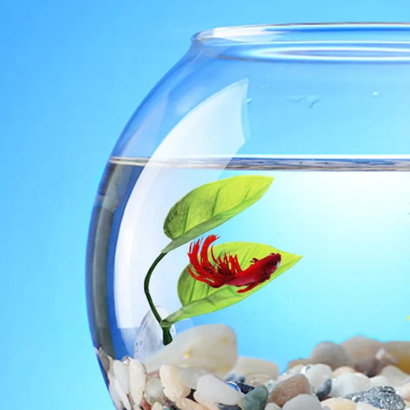 Beta Leaf Betta Fish Resting Leaf Hammock for Aquarium Decorations and Betta  Tank Accessories from Dhgate Other Decorations - price 2.91