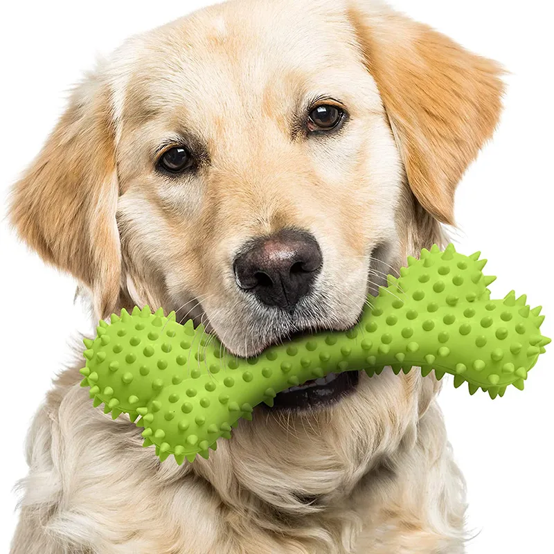 Quietschespielzeug Für Hunde – Weiches, Waschbares Plüsch-Kauspielzeug Zur Zahnreinigung & Gegen Langeweile