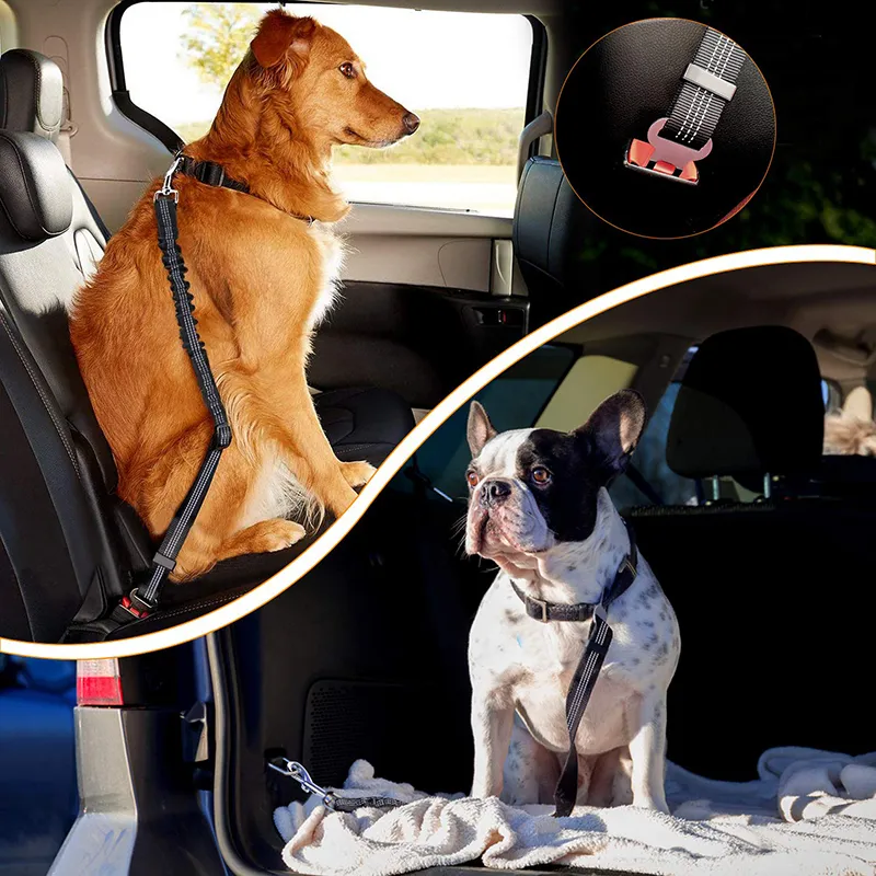 Ceinture De Sécurité Pour Chien Réglable (33-60 Cm) - Pour Voiture, En Nylon Et Métal, Sécurité Pendant Les Trajets