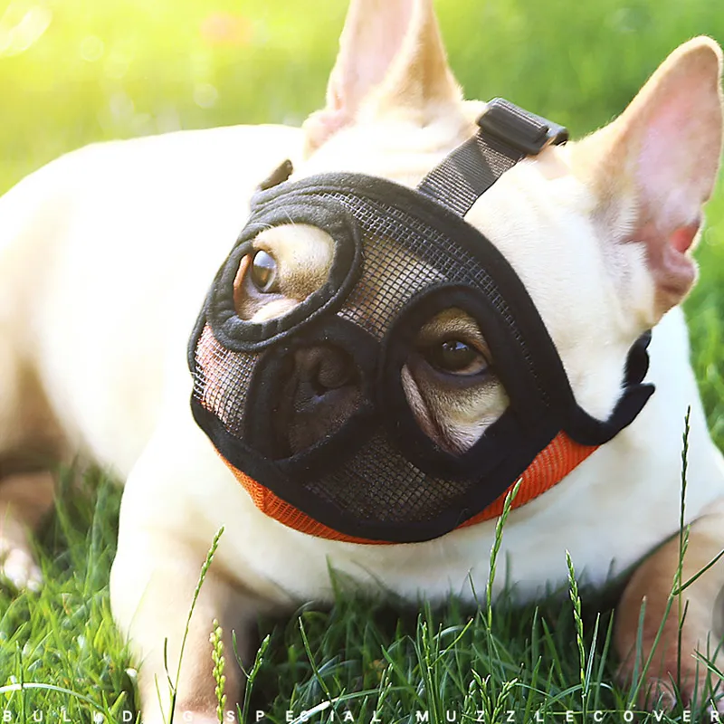 Muzzle for a pug hot sale