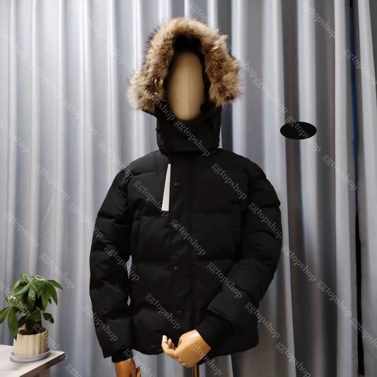 Down coat with coyote fur hood hotsell