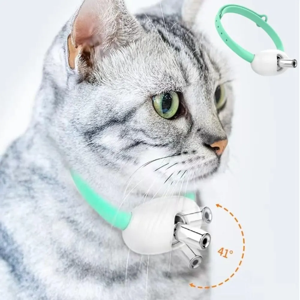 Illuminated cat collar hot sale