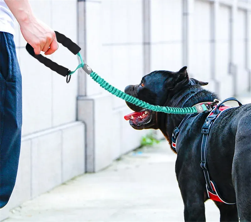 Bungee Dog Leash With Shock Absorption And Padded Handle For Dogs_voghion.com