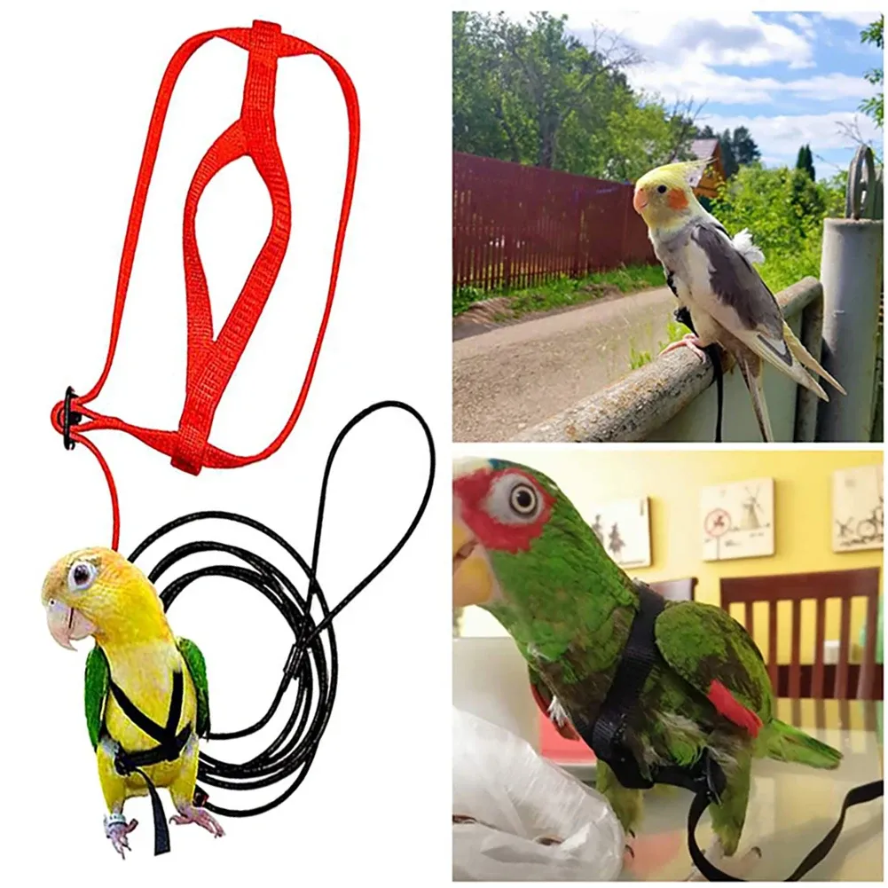 Adjustable Parrot Harness Leash Set Safe Outdoor Flying