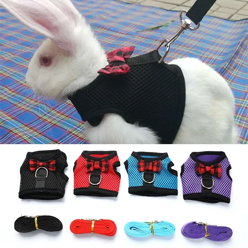 Cute & Comfy Small Pet Harness & Leash Set - Safe Outdoor Walking for ...