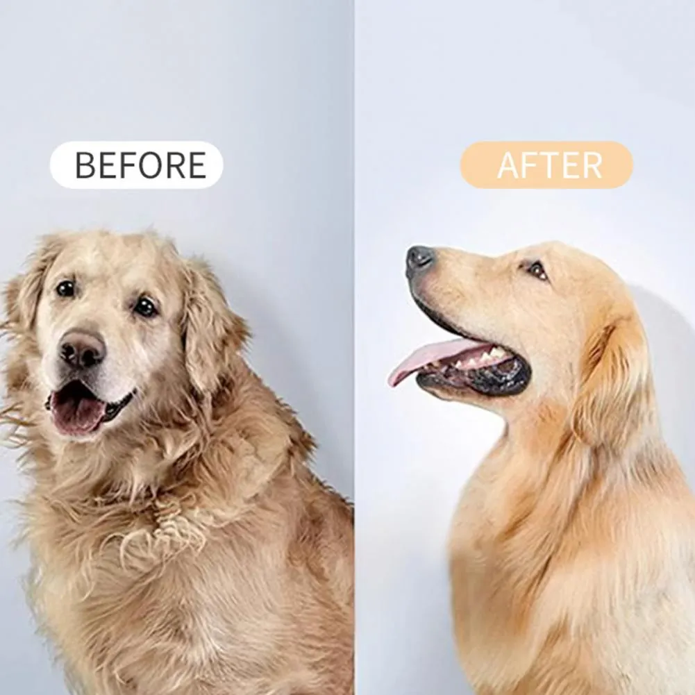 Self-Cleaning Steam Pet Brush for Cats Dogs Detachable Comb Head,  Gentle Grooming Shedding Control