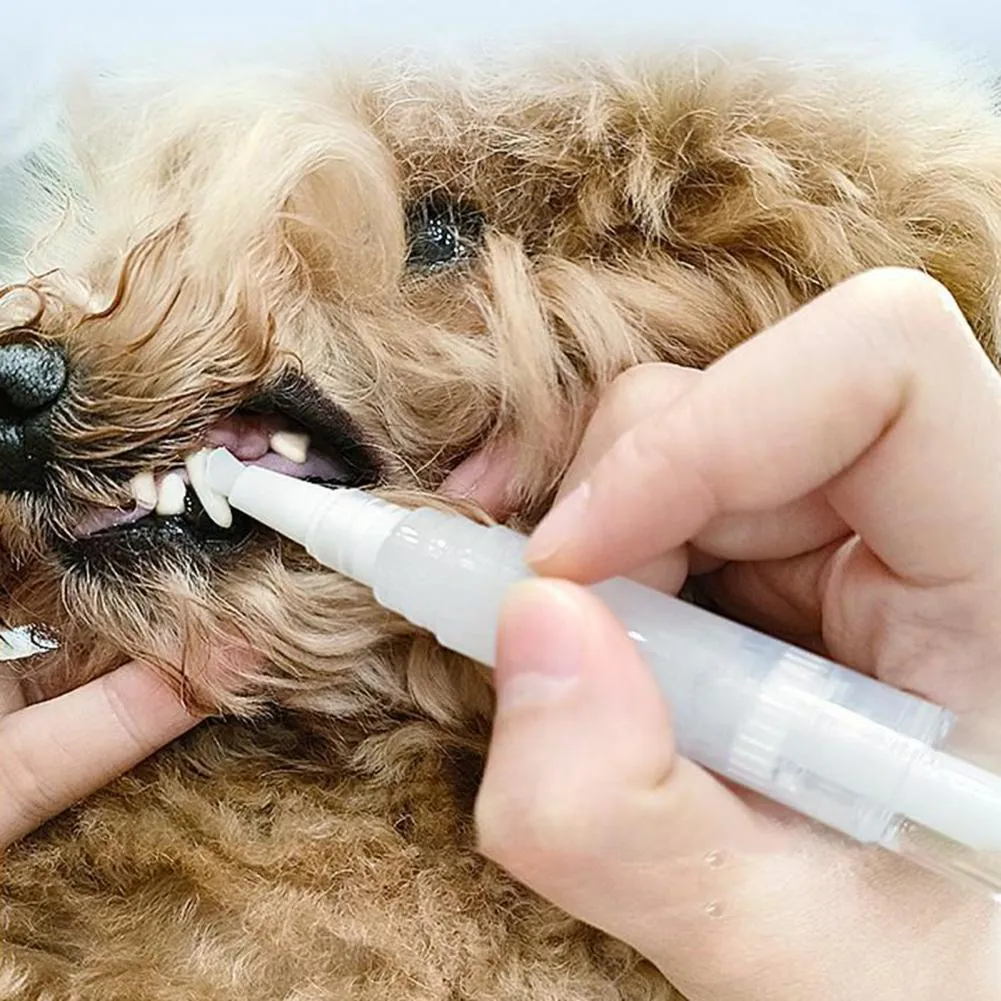 5ml Pet Teeth Cleaning Kit Plastic Tartar Remover Scraper for Universal ...