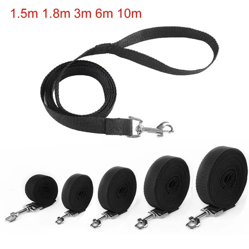 Nylon-Hundeleine, 1,8 M Lang & 2,5 Cm Breit – Robust & Sicher Für Große Hunde