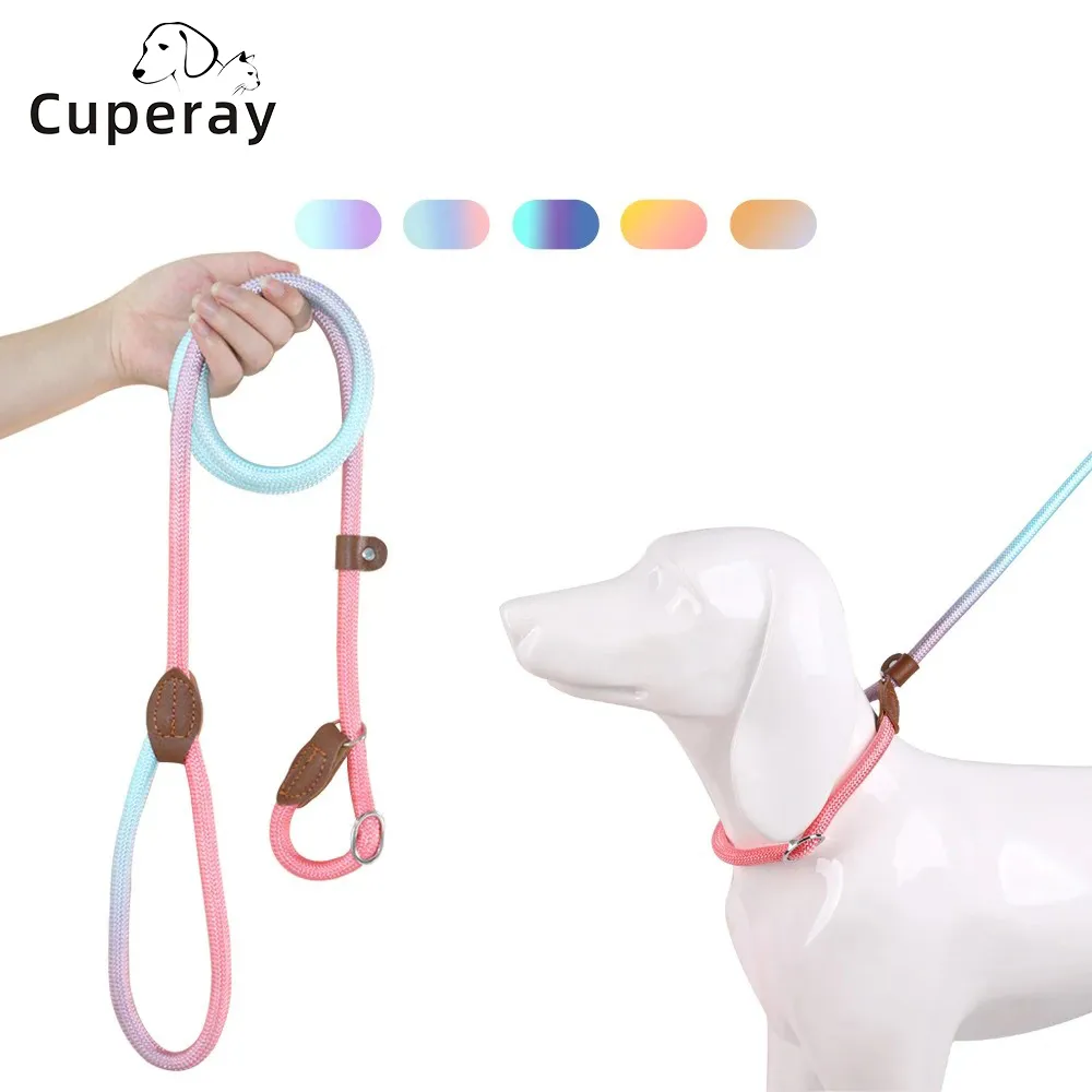 Slip Lead Dog Leash,Strong P Chain Dog Leash... From Dh1100285003, $20.14 |  DHgate.Com