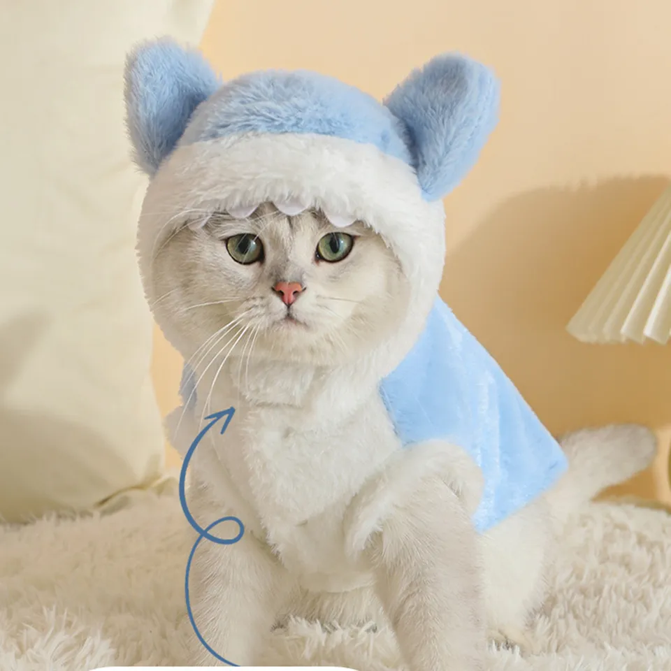 Cozy Winter Sphynx Cat Price Transformer Costume With Anti Hair Loss Technology Cute Shark Design For Kitten And Pet Muppets From China 10 22.12 DHgate.Com