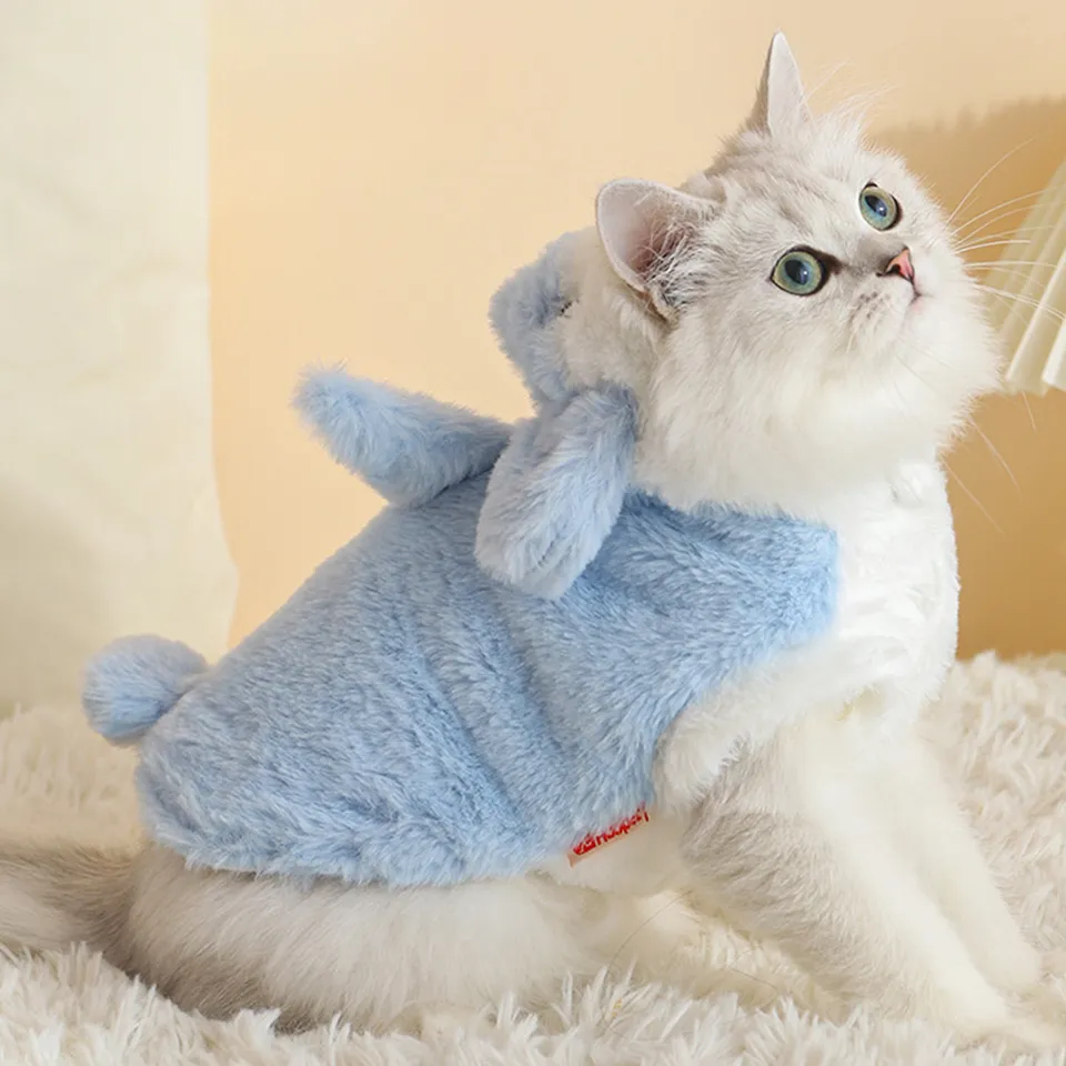 Cozy Winter Sphynx Cat Price Transformer Costume With Anti Hair Loss Technology Cute Shark Design For Kitten And Pet Muppets From China 10 22.12 DHgate.Com