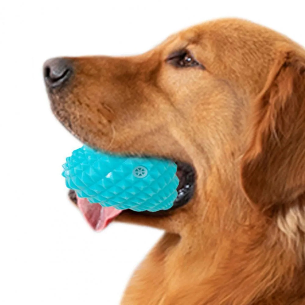 With Sound Washable Fruit Dog Chew Toy for Outdoor