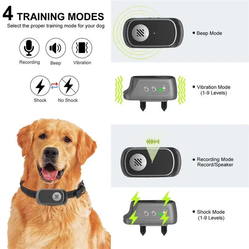 plug anal colocado iQ VIBE – Dogtra.com