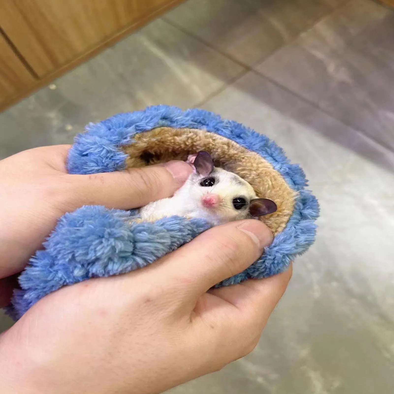 Mini Sugar Glider Sleeping Pouch: Breathable \u0026 Cozy Comfort for Small Pets  from Dhgate Other Small Animal Supplies - price 13.06, image size:1601x1601