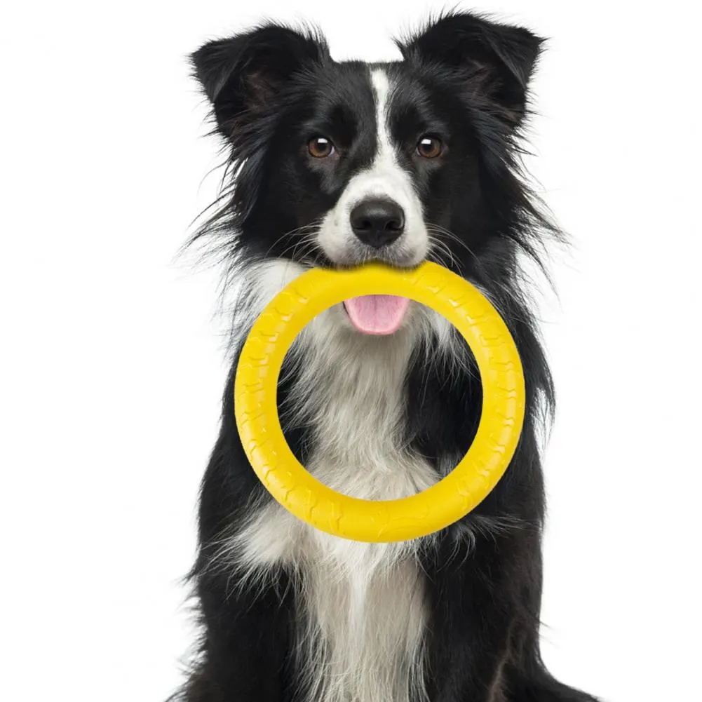Save Big on Bulk Bite Resistant Dog Training Toy Good Puppy Bite Toy 4  Colors Dog Training Ring Long Lasting Bite Resistant Medium Large Dog  Flying ..., image size:1001x1001