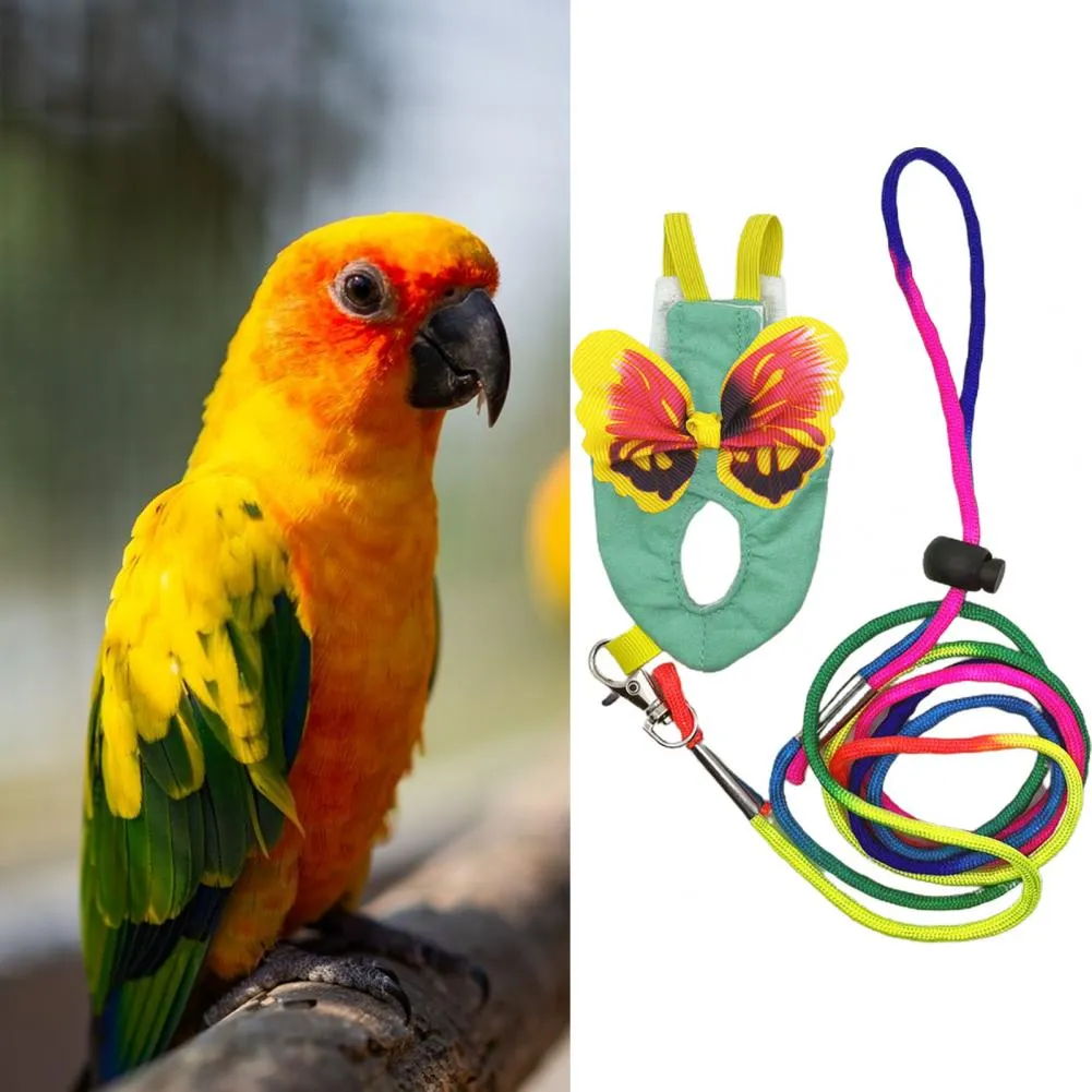 Adjustable Parrot Harness Leash with Colorful Butterflies Decor for Outdoor  Flying and Walking