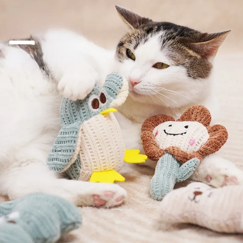 Penguin cat toy 2025