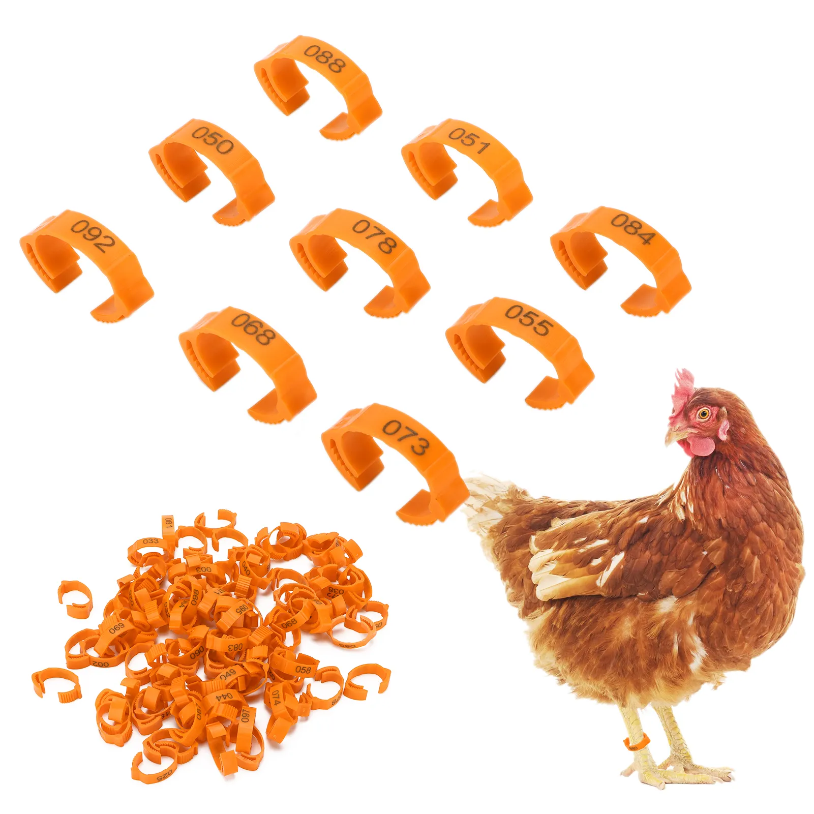5-Color Adjustable Chicken Leg Rings Numbered Identification Poultry ...
