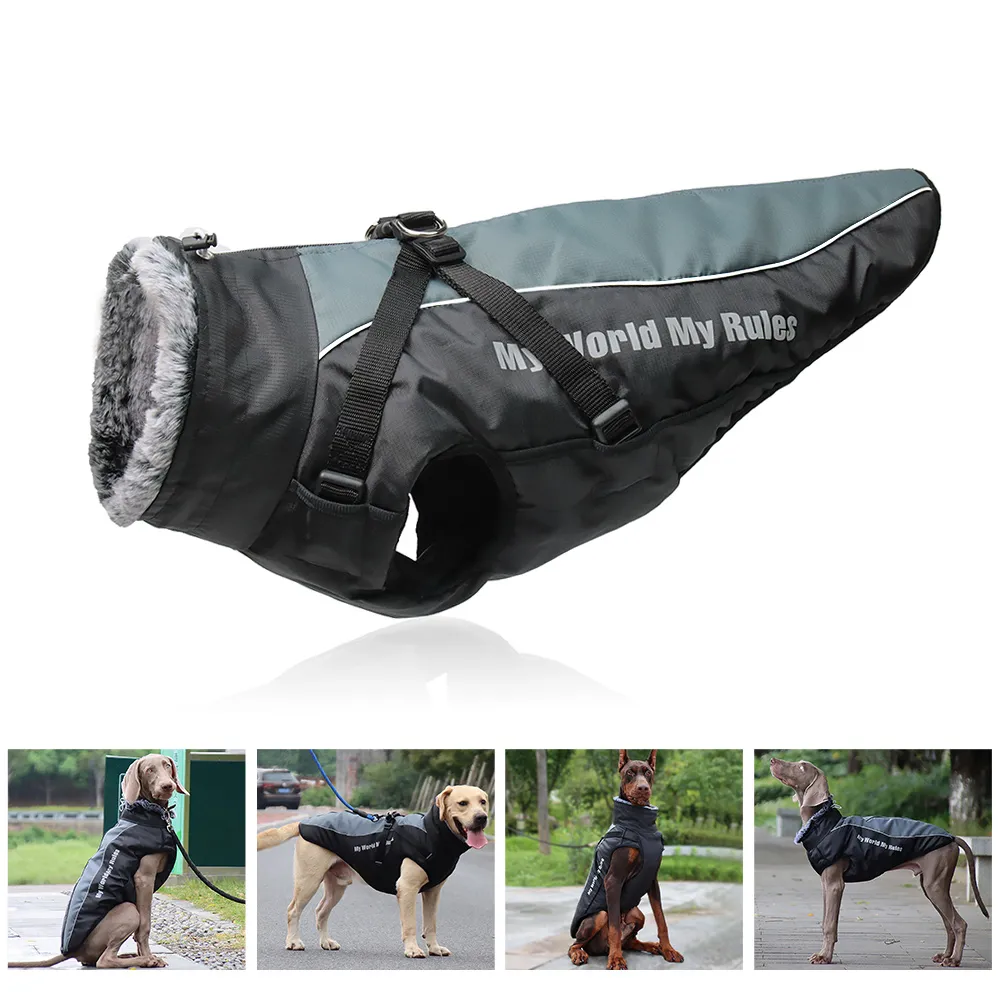 Dog Winter Camping Equipment Dog Sledding And Cross County Skiing