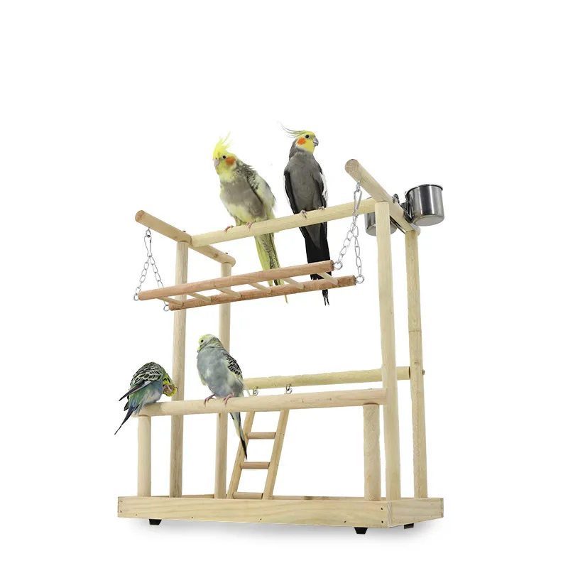 Image showcasing Parrot Playstand Gym - Bird Playground, Activity Center, Parakeet Perch ...