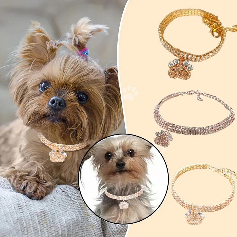 Chihuahua Dog Bling Necklaces Exquisite Cute Golden Chihuahua Pendant  Necklace For Women Cute