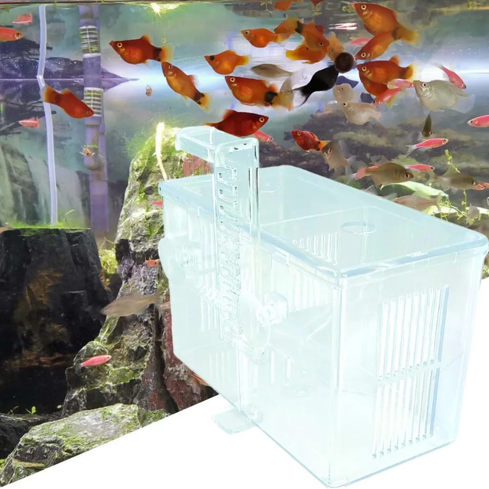 Plastic Fish Aquarium Breeding Box: Transparent... From Dhgate_yellowapp_1, $12.3 | DHgate.Com Plastic Fish Aquarium Breeding Box: Transparent... From Dhgate_yellowapp_1, $12.3 | DHgate.Com