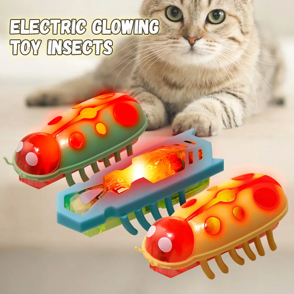 Mini Electric Bug Toy For Cats And Dogs Interactive Walking Ladybird ...