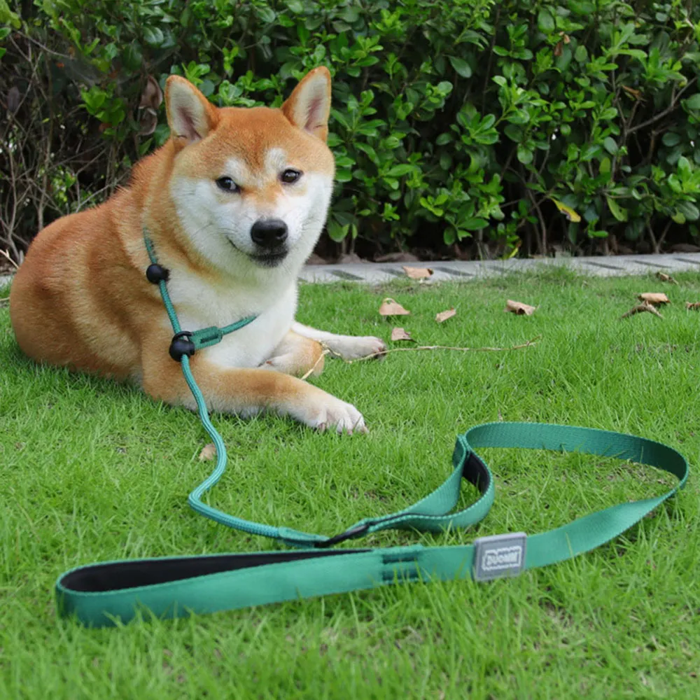 adjustable retractable dog leash Wigzi Retractable Dog Leash - Gel Handle - Monroe, MI