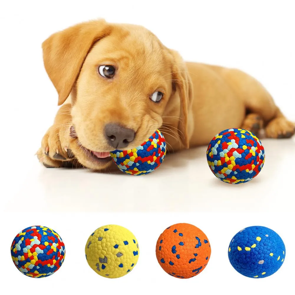 dog ballaholic BallerBundle_540x.png?v=1668713406