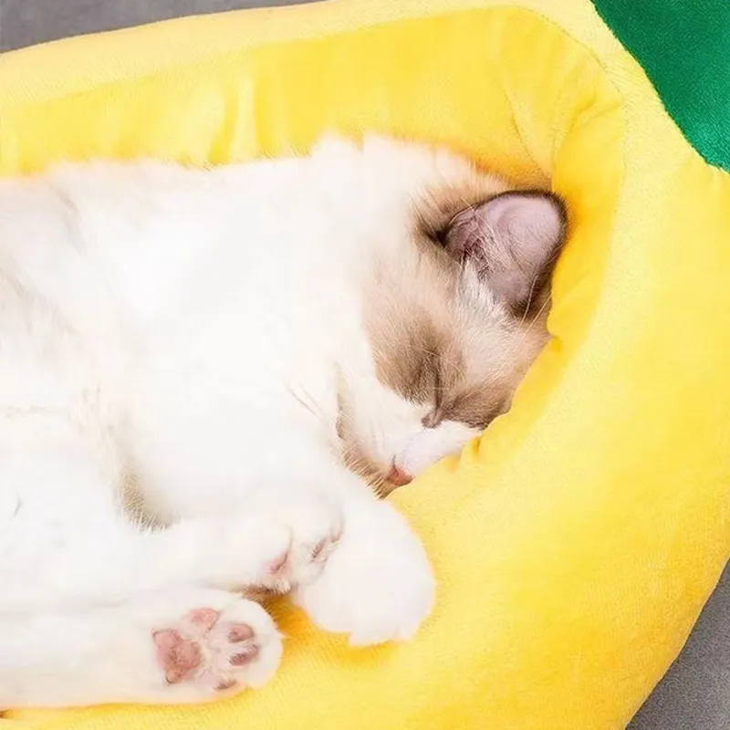 Wholesale Yellow Banana Banana Pet Bed Soft Detachable Washable And Cute For Small Dogs And Cats Keep Your Pet Warm And Cozy From Dh1103279118 Bulk 16.54 DHgate.Com