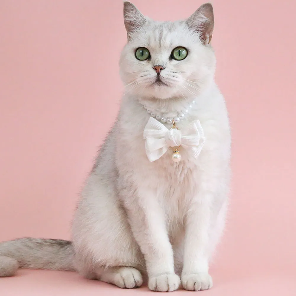 Cat jewelry for cats online