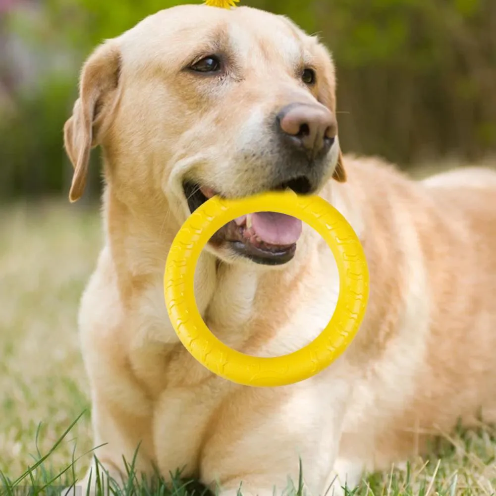 Good Puppy Bite Toy Dog Training Ring Long Lasting Bite Resistant Medium  Large Dog Flying Ring Bite Toys From Dhgate_yellowapp_1, $12.81 | DHgate.Com, image size:1001x1001