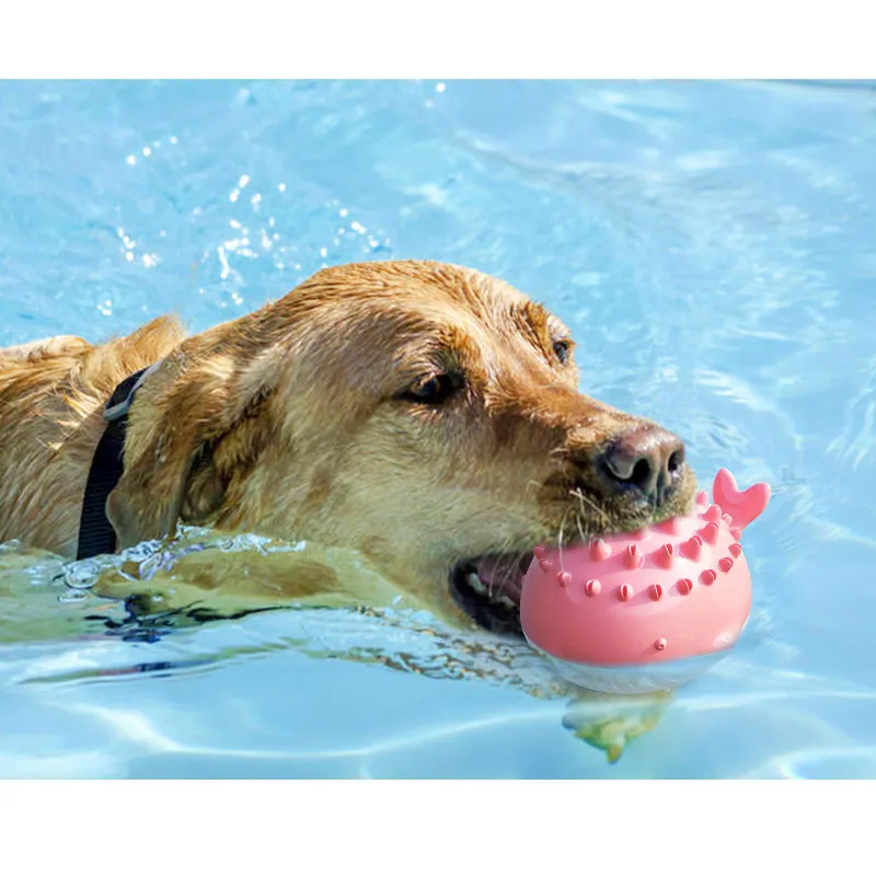 Swimming dog toy sale