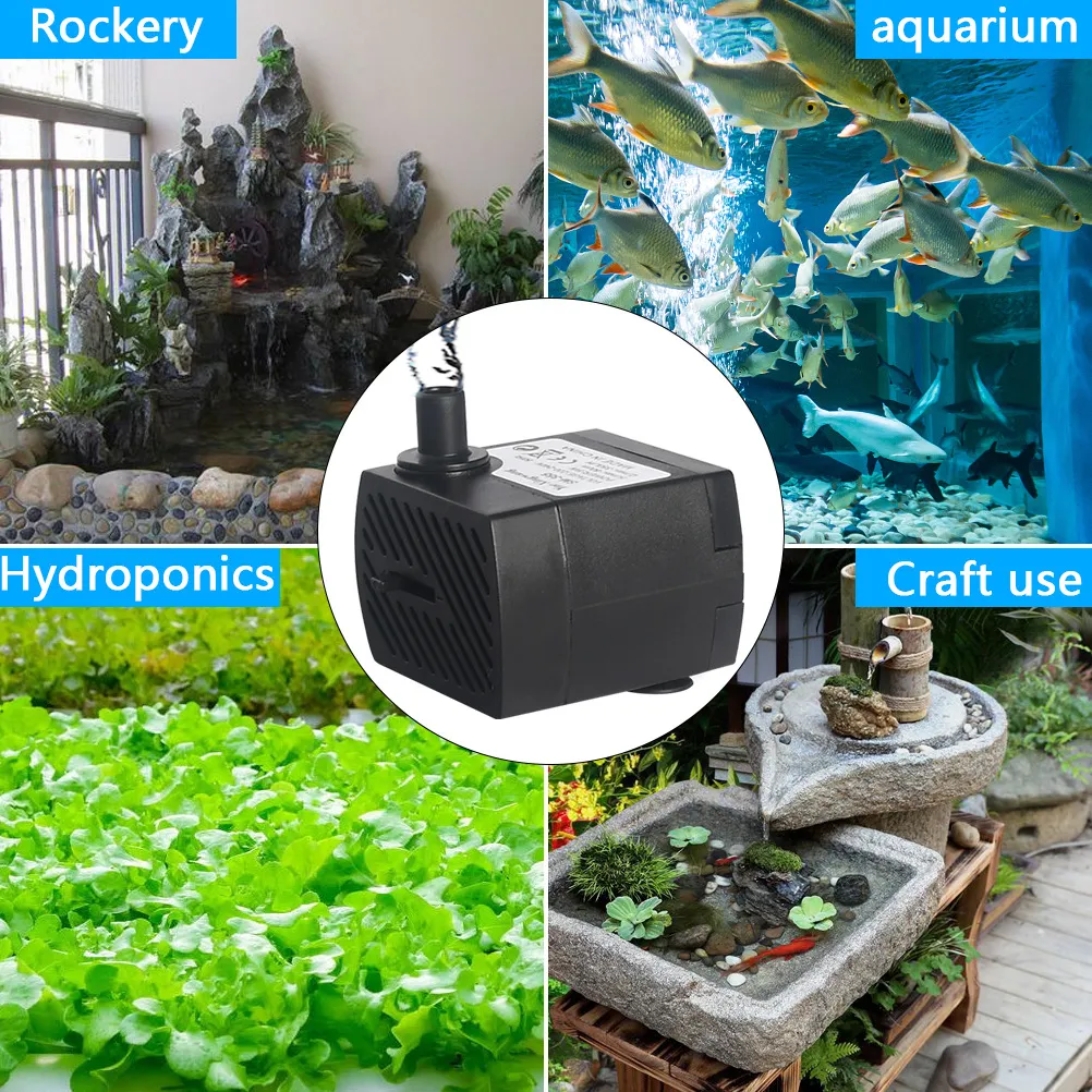 Beautiful view of Enhancing Water Circulation Goldfish Tank
