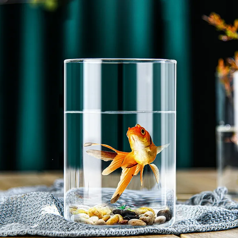 Save Big on Bulk Hydroponic Fish Tank Cylinder Aquarium Fish Tank  Hydroponics Aquarium: Glass Plant Vase Goldfish Farming Container,  Transparent