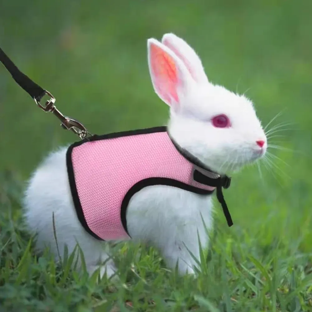 thumbnail image 2 of Buy 4 Sets Adjustable Bunny Rabbit Harness And Leash Set Small Pet Cute 2 of 11
