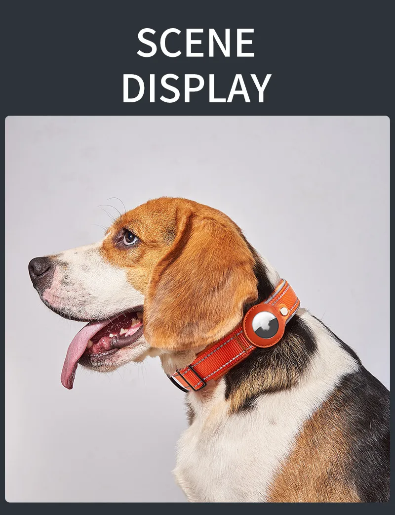 Animal Collar With GPS Tracking: Durable Nylon Reflective Collar